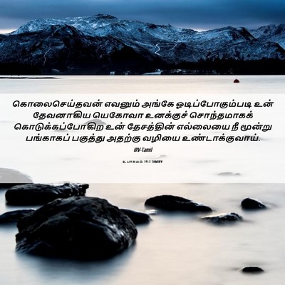 Picture 06 - உபாகமம் 19:3 TAMIRV - கொலைசெய்தவன் - Bible Verse Picture