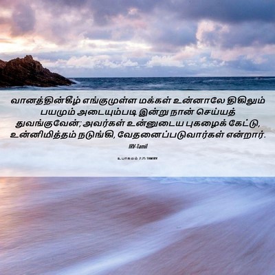 Picture 06 - உபாகமம் 2:25 TAMIRV - வானத்தின்கீழ் - Bible Verse Picture
