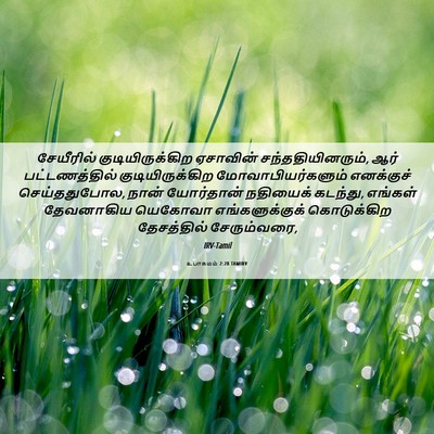 Picture 06 - உபாகமம் 2:28 TAMIRV - சேயீரில் - Bible Verse Picture