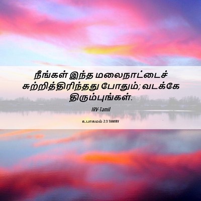Picture 06 - உபாகமம் 2:3 TAMIRV - நீங்கள் இந்த - Bible Verse Picture