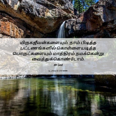 Picture 06 - உபாகமம் 2:35 TAMIRV -  - Bible Verse Picture