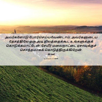 Picture 06 - உபாகமம் 2:5 TAMIRV - அவர்களோடு - Bible Verse Picture