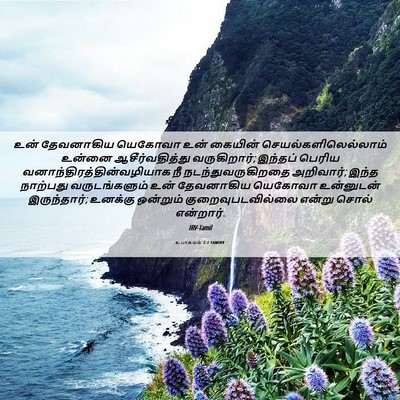 Picture 06 - உபாகமம் 2:7 TAMIRV - உன் தேவனாகிய - Bible Verse Picture
