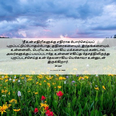 Picture 06 - உபாகமம் 20:1 TAMIRV - “நீ உன் - Bible Verse Picture