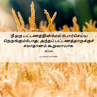 Picture 06 - உபாகமம் 20:10 TAMIRV - “நீ ஒரு - Bible Verse Picture