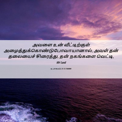 Picture 06 - உபாகமம் 21:12 TAMIRV - அவளை உன் - Bible Verse Picture
