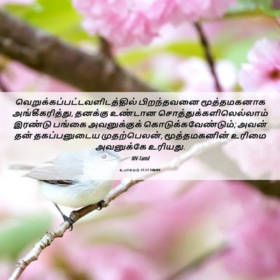 Picture 06 - உபாகமம் 21:17 TAMIRV -  - Bible Verse Picture