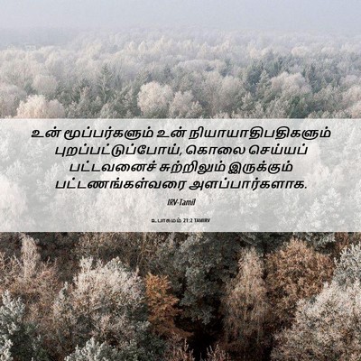 Picture 06 - உபாகமம் 21:2 TAMIRV - உன் மூப்பர்களும் - Bible Verse Picture