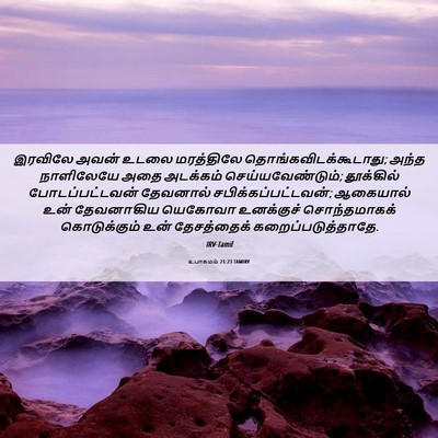 Picture 06 - உபாகமம் 21:23 TAMIRV - இரவிலே அவன் உடலை - Bible Verse Picture