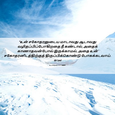 Picture 06 - உபாகமம் 22:1 TAMIRV - “உன் சகோதரனுடைய - Bible Verse Picture