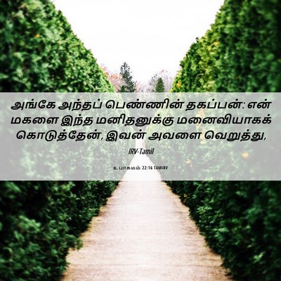 Picture 06 - உபாகமம் 22:16 TAMIRV - அங்கே அந்தப் - Bible Verse Picture