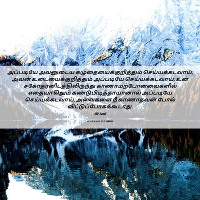 Picture 06 - உபாகமம் 22:3 TAMIRV - அப்படியே அவனுடைய - Bible Verse Picture