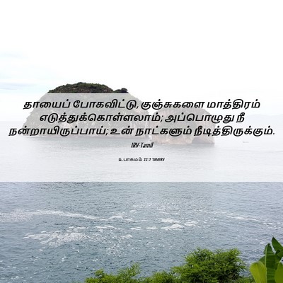 Picture 06 - உபாகமம் 22:7 TAMIRV - தாயைப் போகவிட்டு, - Bible Verse Picture