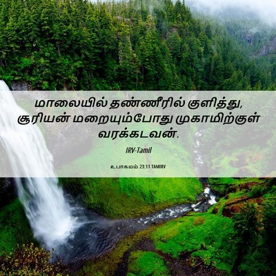 Picture 06 - உபாகமம் 23:11 TAMIRV - மாலையில் - Bible Verse Picture