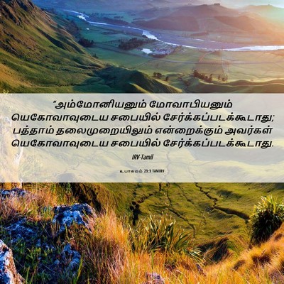 Picture 06 - உபாகமம் 23:3 TAMIRV - “அம்மோனியனும் - Bible Verse Picture