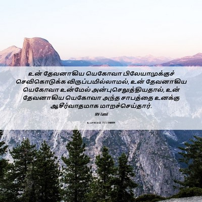 Picture 06 - உபாகமம் 23:5 TAMIRV - உன் தேவனாகிய - Bible Verse Picture