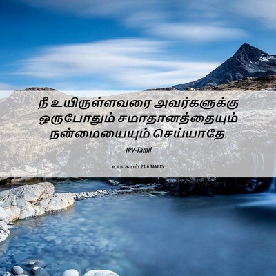 Picture 06 - உபாகமம் 23:6 TAMIRV - நீ உயிருள்ளவரை - Bible Verse Picture