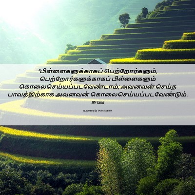 Picture 06 - உபாகமம் 24:16 TAMIRV -  - Bible Verse Picture
