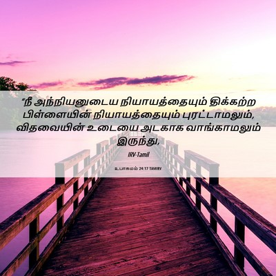 Picture 06 - உபாகமம் 24:17 TAMIRV - “நீ அந்நியனுடைய - Bible Verse Picture