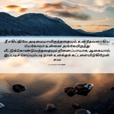 Picture 06 - உபாகமம் 24:18 TAMIRV - நீ எகிப்திலே - Bible Verse Picture