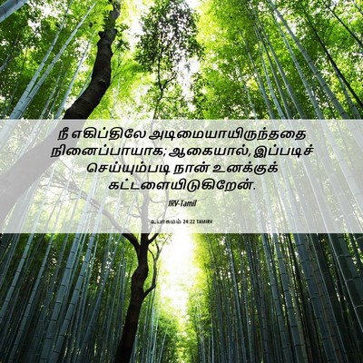 Picture 06 - உபாகமம் 24:22 TAMIRV - நீ எகிப்திலே - Bible Verse Picture
