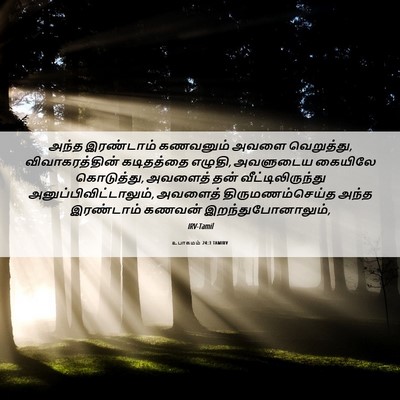 Picture 06 - உபாகமம் 24:3 TAMIRV - அந்த இரண்டாம் - Bible Verse Picture