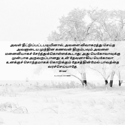 Picture 06 - உபாகமம் 24:4 TAMIRV - அவள் - Bible Verse Picture