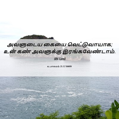 Picture 06 - உபாகமம் 25:12 TAMIRV - அவளுடைய கையை - Bible Verse Picture