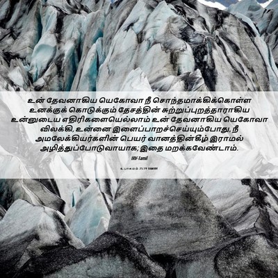 Picture 06 - உபாகமம் 25:19 TAMIRV - உன் தேவனாகிய - Bible Verse Picture