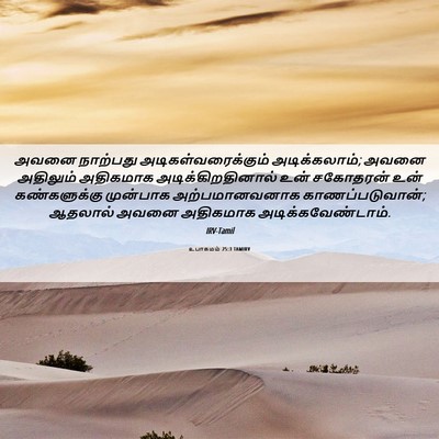 Picture 06 - உபாகமம் 25:3 TAMIRV - அவனை நாற்பது - Bible Verse Picture
