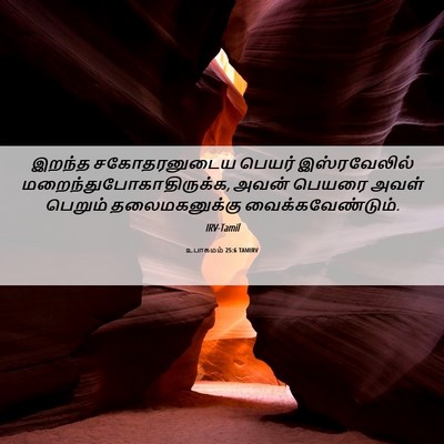 Picture 06 - உபாகமம் 25:6 TAMIRV - இறந்த சகோதரனுடைய - Bible Verse Picture