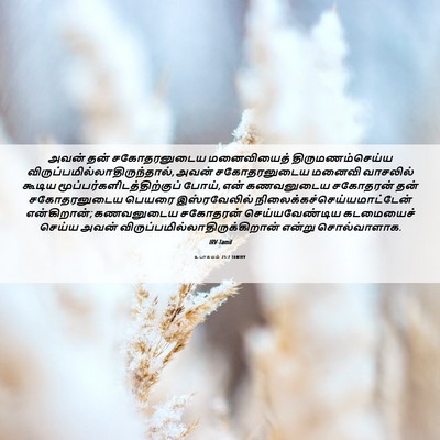 Picture 06 - உபாகமம் 25:7 TAMIRV - அவன் தன் - Bible Verse Picture