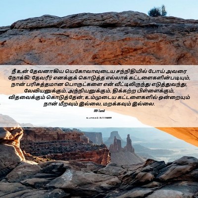 Picture 06 - உபாகமம் 26:13 TAMIRV - நீ உன் தேவனாகிய - Bible Verse Picture