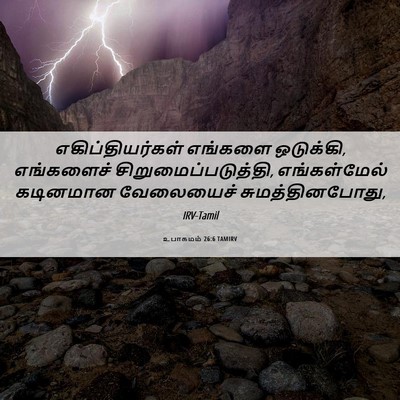 Picture 06 - உபாகமம் 26:6 TAMIRV - எகிப்தியர்கள் - Bible Verse Picture