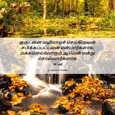 Picture 06 - உபாகமம் 27:18 TAMIRV - குருடனை வழிமாறச் - Bible Verse Picture