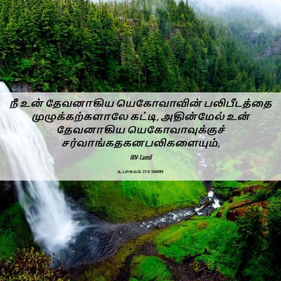 Picture 06 - உபாகமம் 27:6 TAMIRV - நீ உன் தேவனாகிய - Bible Verse Picture