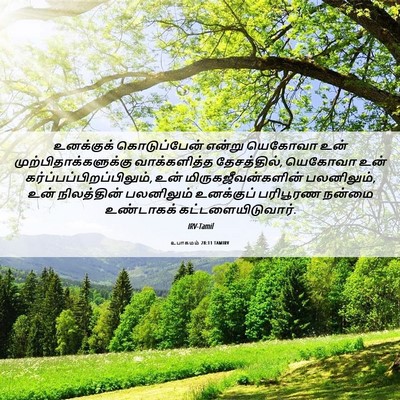 Picture 06 - உபாகமம் 28:11 TAMIRV - உனக்குக் - Bible Verse Picture
