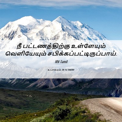 Picture 06 - உபாகமம் 28:16 TAMIRV - நீ பட்டணத்திற்கு - Bible Verse Picture