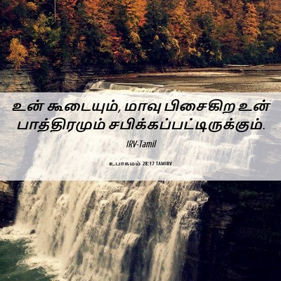 Picture 06 - உபாகமம் 28:17 TAMIRV - உன் கூடையும், மாவு - Bible Verse Picture