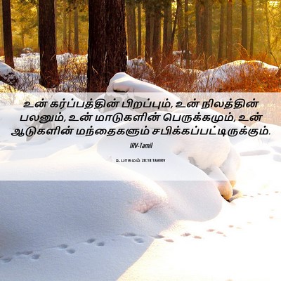 Picture 06 - உபாகமம் 28:18 TAMIRV - உன் கர்ப்பத்தின் - Bible Verse Picture
