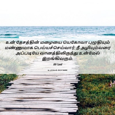 Picture 06 - உபாகமம் 28:24 TAMIRV - உன் தேசத்தின் - Bible Verse Picture