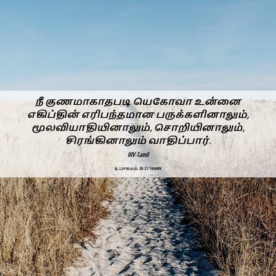Picture 06 - உபாகமம் 28:27 TAMIRV - நீ குணமாகாதபடி - Bible Verse Picture