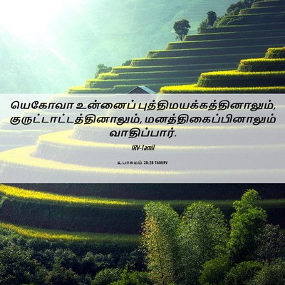 Picture 06 - உபாகமம் 28:28 TAMIRV - யெகோவா உன்னைப் - Bible Verse Picture