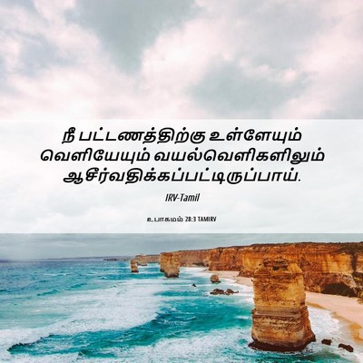 Picture 06 - உபாகமம் 28:3 TAMIRV - நீ பட்டணத்திற்கு - Bible Verse Picture