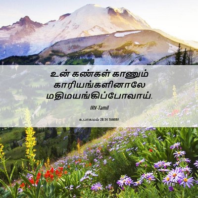 Picture 06 - உபாகமம் 28:34 TAMIRV - உன் கண்கள் காணும் - Bible Verse Picture