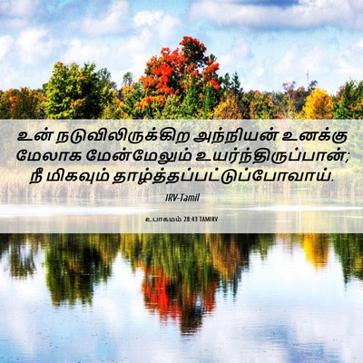 Picture 06 - உபாகமம் 28:43 TAMIRV - உன் - Bible Verse Picture