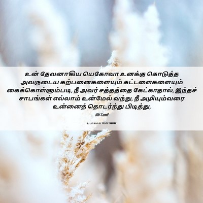 Picture 06 - உபாகமம் 28:45 TAMIRV - உன் தேவனாகிய - Bible Verse Picture