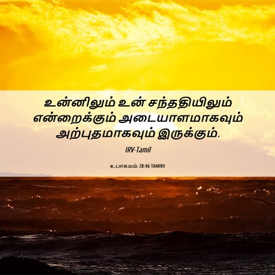 Picture 06 - உபாகமம் 28:46 TAMIRV - உன்னிலும் உன் - Bible Verse Picture