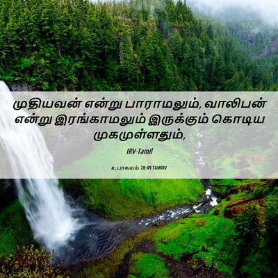 Picture 06 - உபாகமம் 28:49 TAMIRV - முதியவன் என்று - Bible Verse Picture