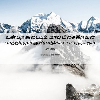 Picture 06 - உபாகமம் 28:5 TAMIRV - உன் பழ கூடையும், - Bible Verse Picture